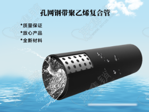 PE孔網(wǎng)鋼帶復合管