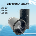 PE孔網(wǎng)鋼帶復合管