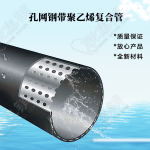 PE孔網(wǎng)鋼帶復合管