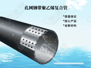 PE孔網(wǎng)鋼帶復合管