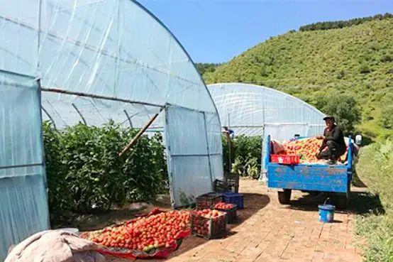 管道局：堅決當好保障國家能源安全的“壓艙石”和“頂梁柱”！