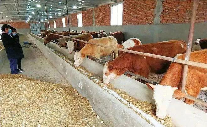 管道局：堅決當好保障國家能源安全的“壓艙石”和“頂梁柱”！