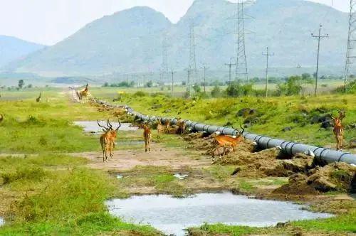 管道局：堅決當好保障國家能源安全的“壓艙石”和“頂梁柱”！